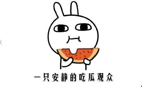 吃瓜事件黑料,揭秘娱乐圈黑料背后的真相